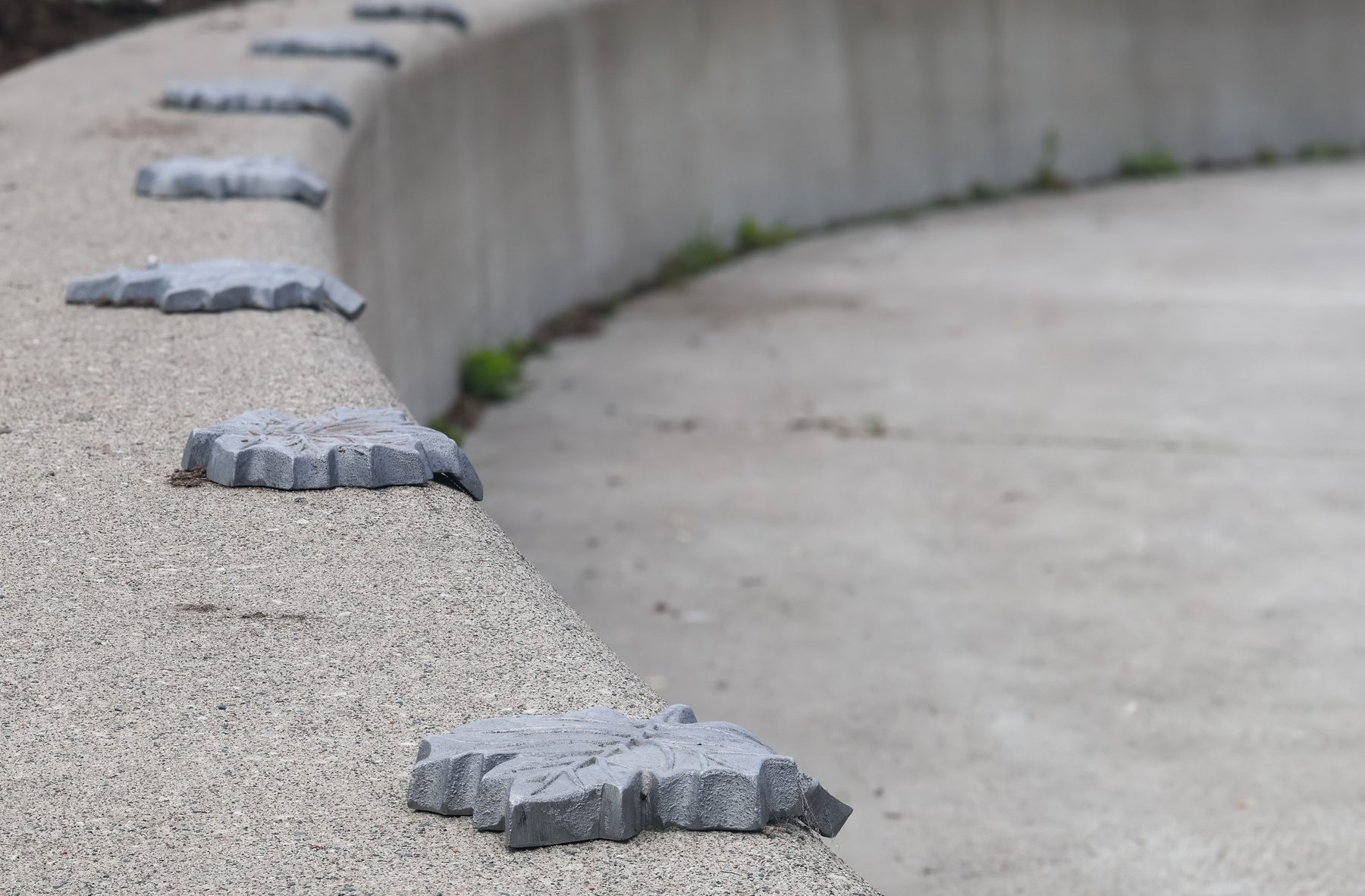 Cast metal maple leaf skate stoppers arranged along the edge of a concrete ledge like fallen leaves
